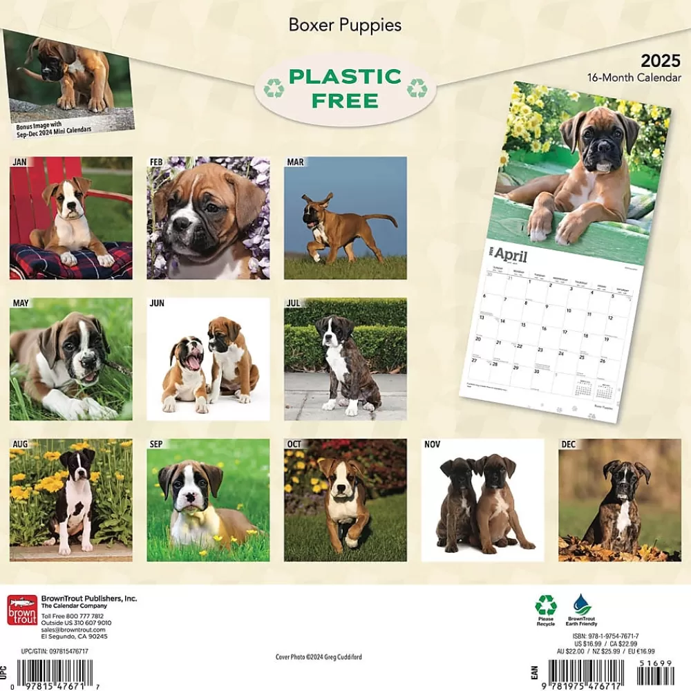 BrownTrout 2025 Calendars<2025 Boxer Puppies 12" x 12" Monthly Wall Calendar (9781975476717)