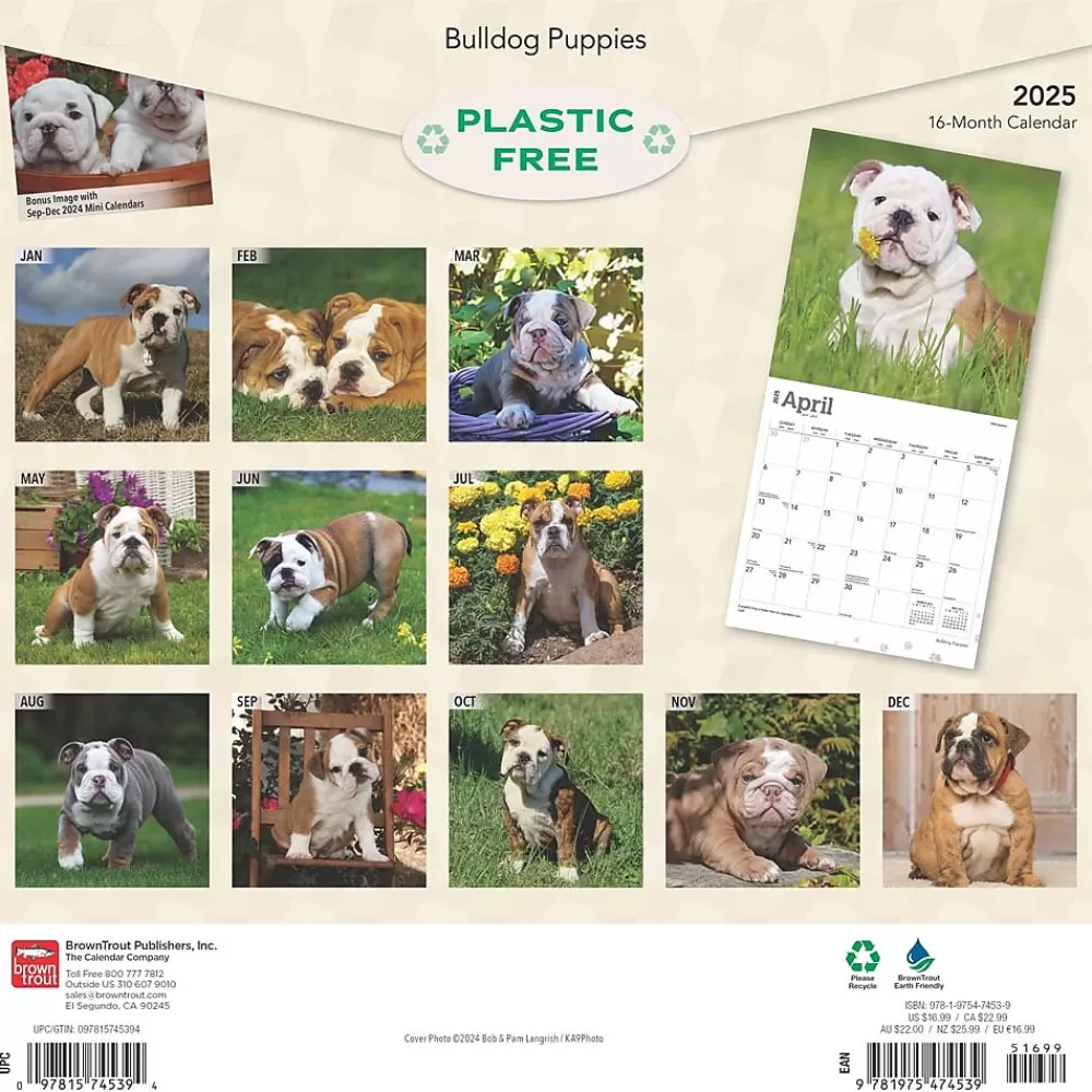 BrownTrout 2025 Calendars<2025 Bulldog Puppies 12" x 12" Monthly Wall Calendar (9781975474539)