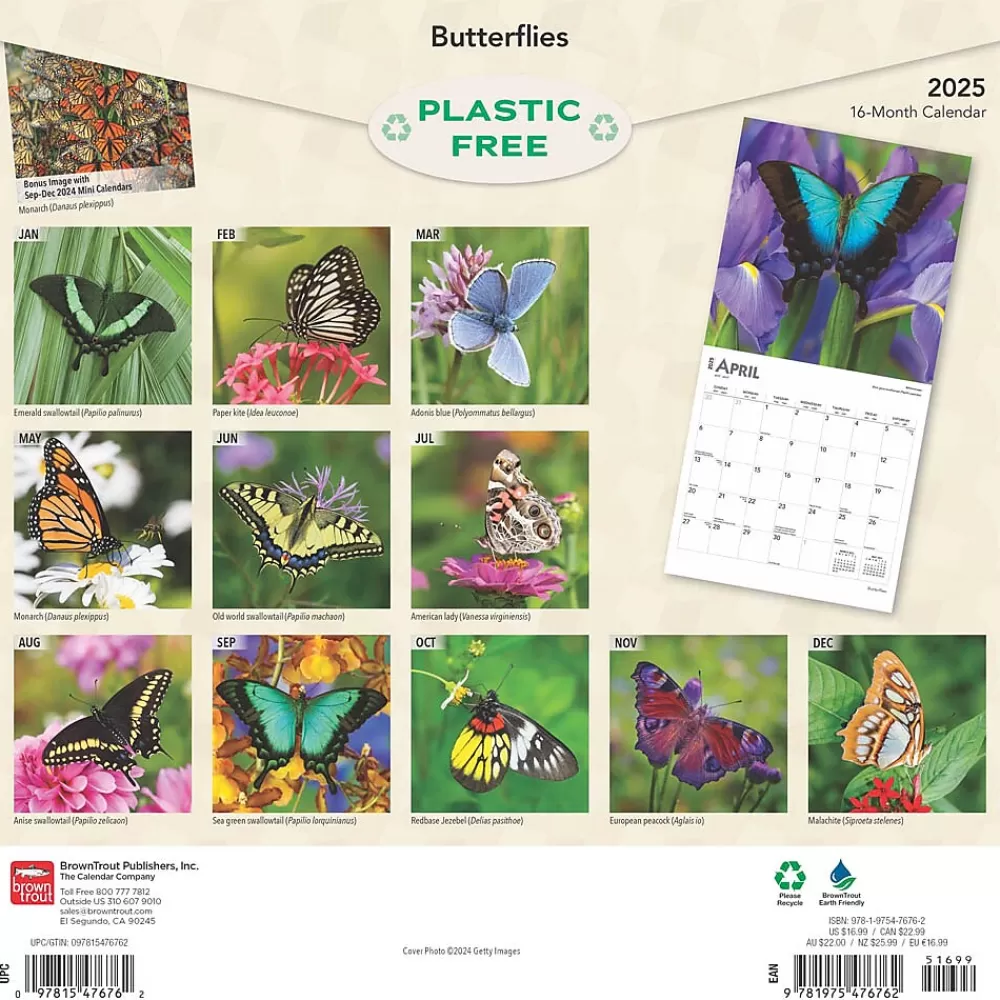 BrownTrout 2025 Calendars<2025 Butterflies 12" x 12" Monthly Wall Calendar (9781975476762)