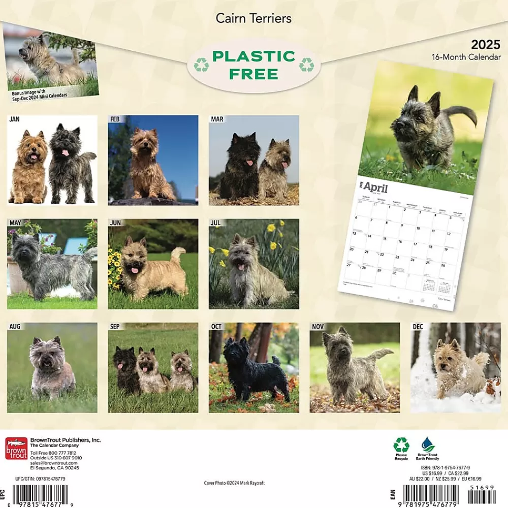 BrownTrout 2025 Calendars<2025 Cairn Terriers 12" x 24" Monthly Square Wall Calendar, (9781975476779)