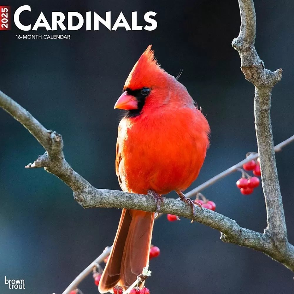 BrownTrout 2025 Calendars<2025 Cardinals 12" x 24" Monthly Square Wall Calendar, (9781975476786)