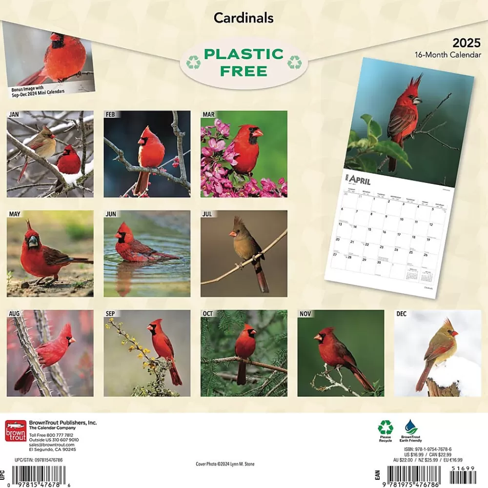 BrownTrout 2025 Calendars<2025 Cardinals 12" x 24" Monthly Square Wall Calendar, (9781975476786)