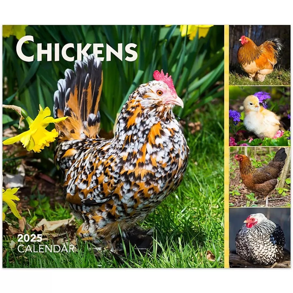 BrownTrout 2025 Calendars<2025 Chickens 6" x 5" Day-to-Day Desktop Box Calendar (9781975483425)