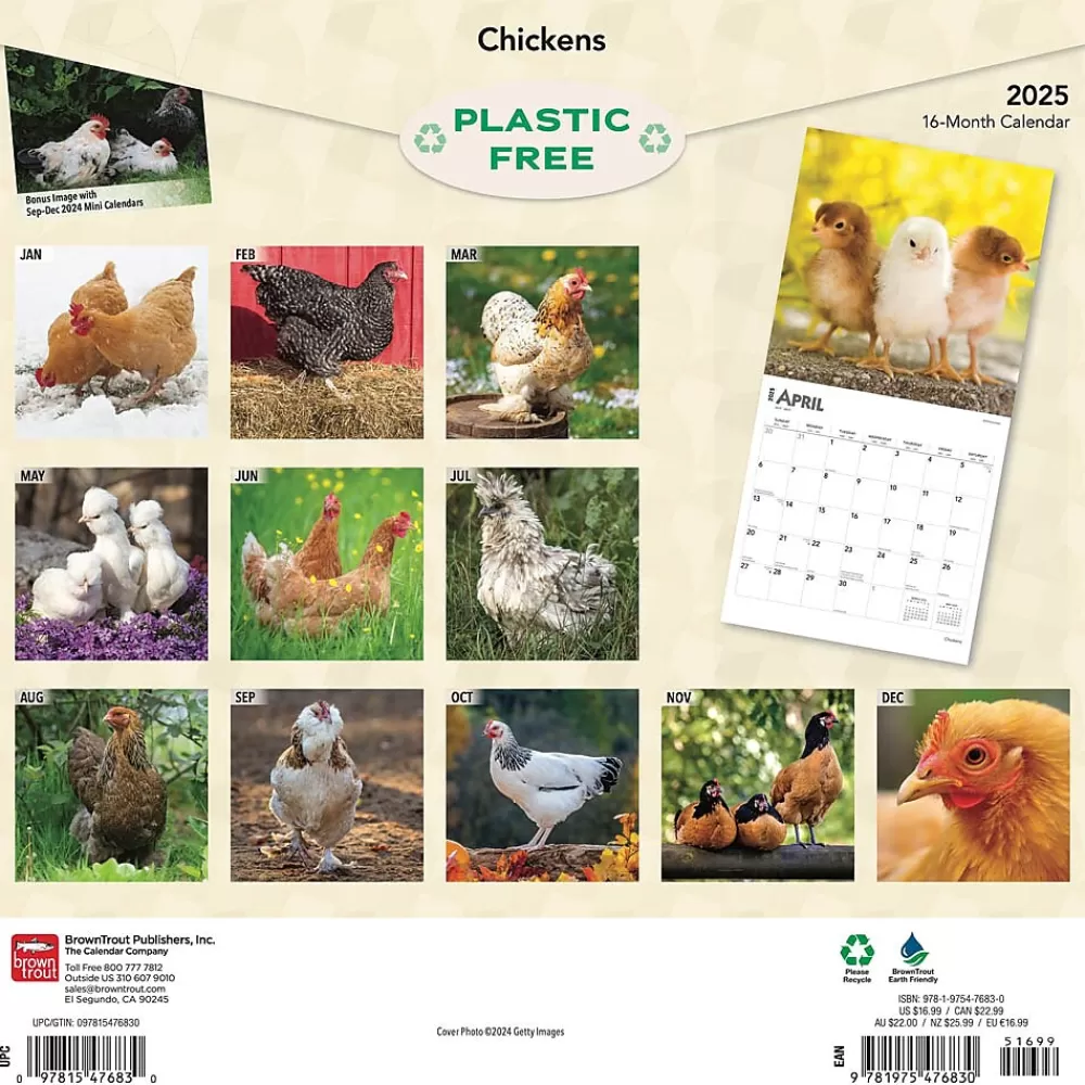 BrownTrout 2025 Calendars<2025 Chickens 12" x 24" Monthly Square Wall Calendar, (9781975476830)