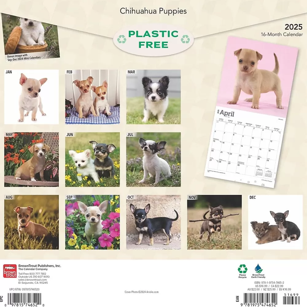 BrownTrout 2025 Calendars<2025 Chihuahua Puppies 12" x 12" Monthly Wall Calendar (9781975474652)