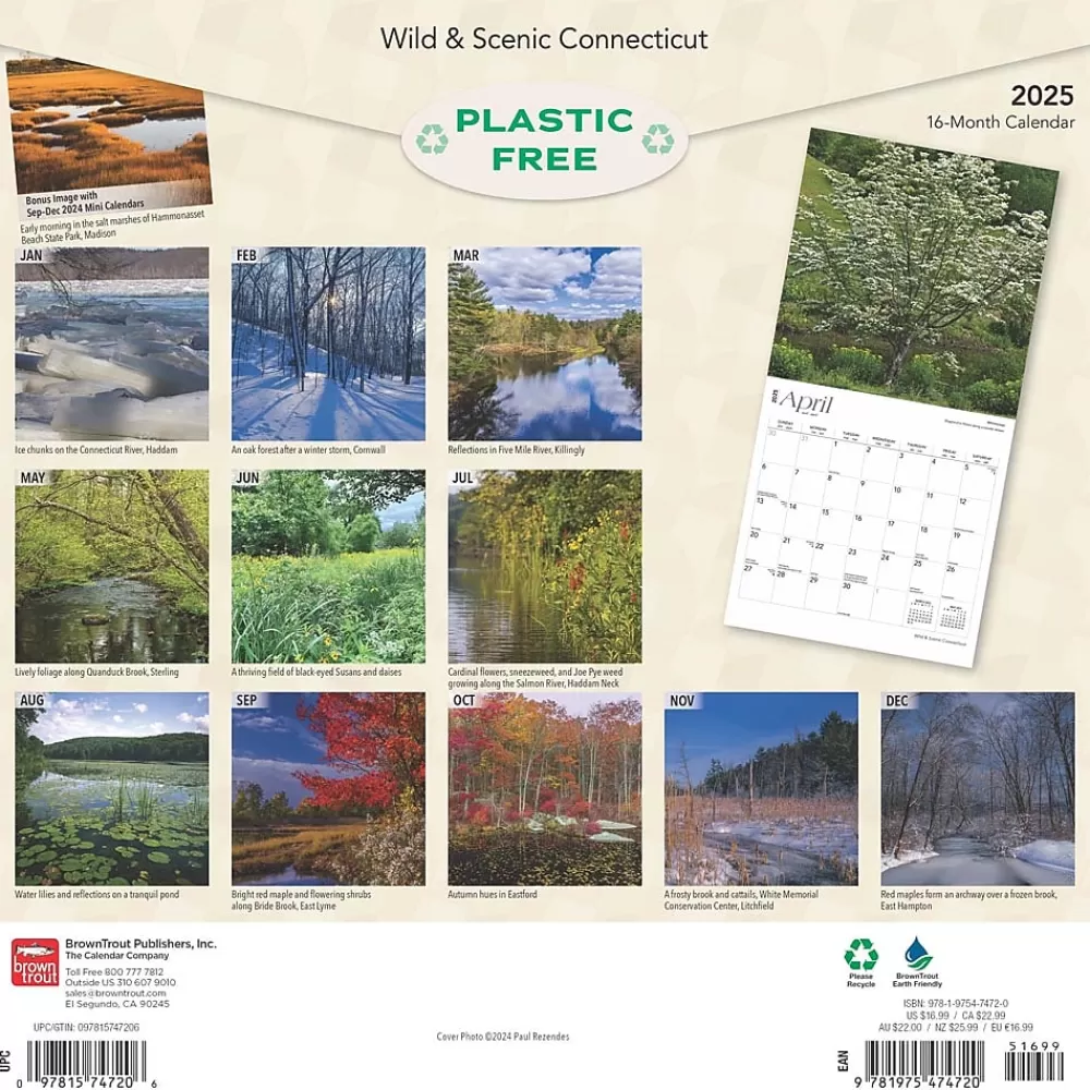 BrownTrout 2025 Calendars<2025 Connecticut Wild & Scenic 12" x 24" Monthly Square Wall Calendar (9781975474720)