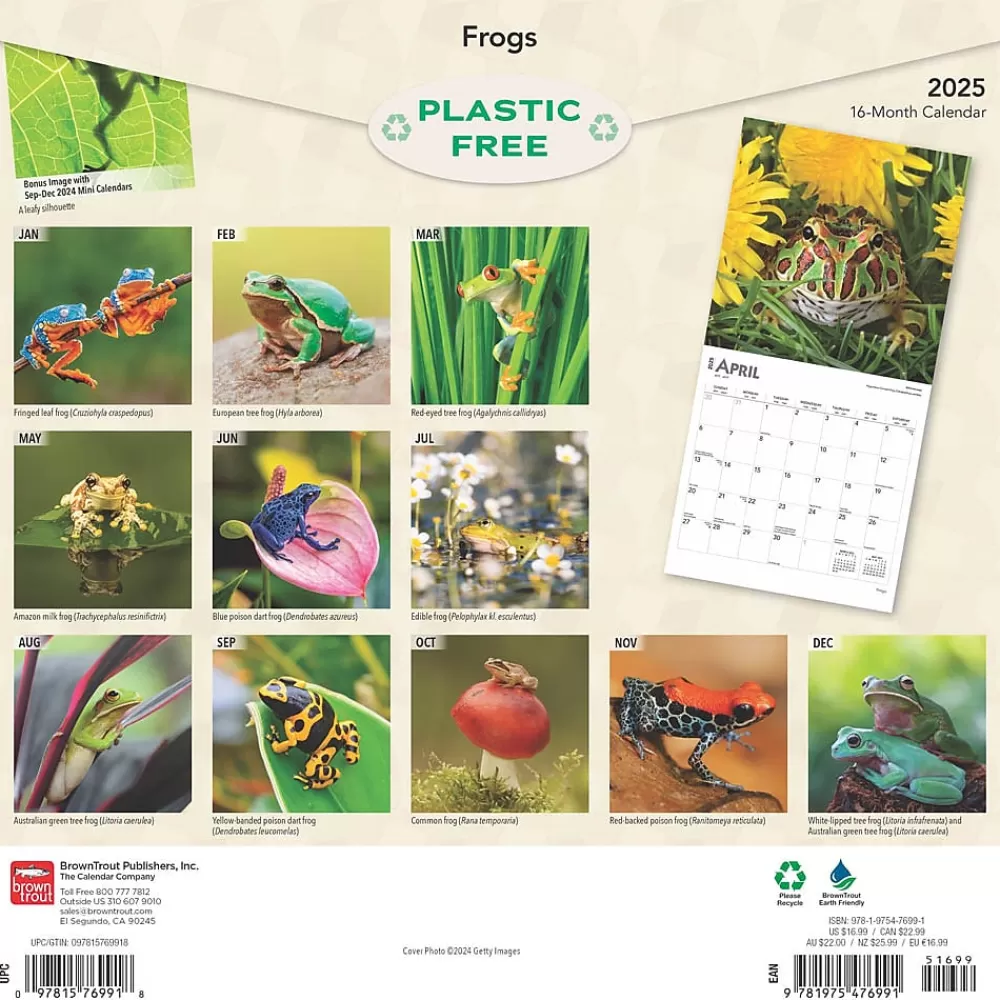 BrownTrout 2025 Calendars<2025 Frogs 12" x 24" Monthly Square Wall Calendar (9781975476991)