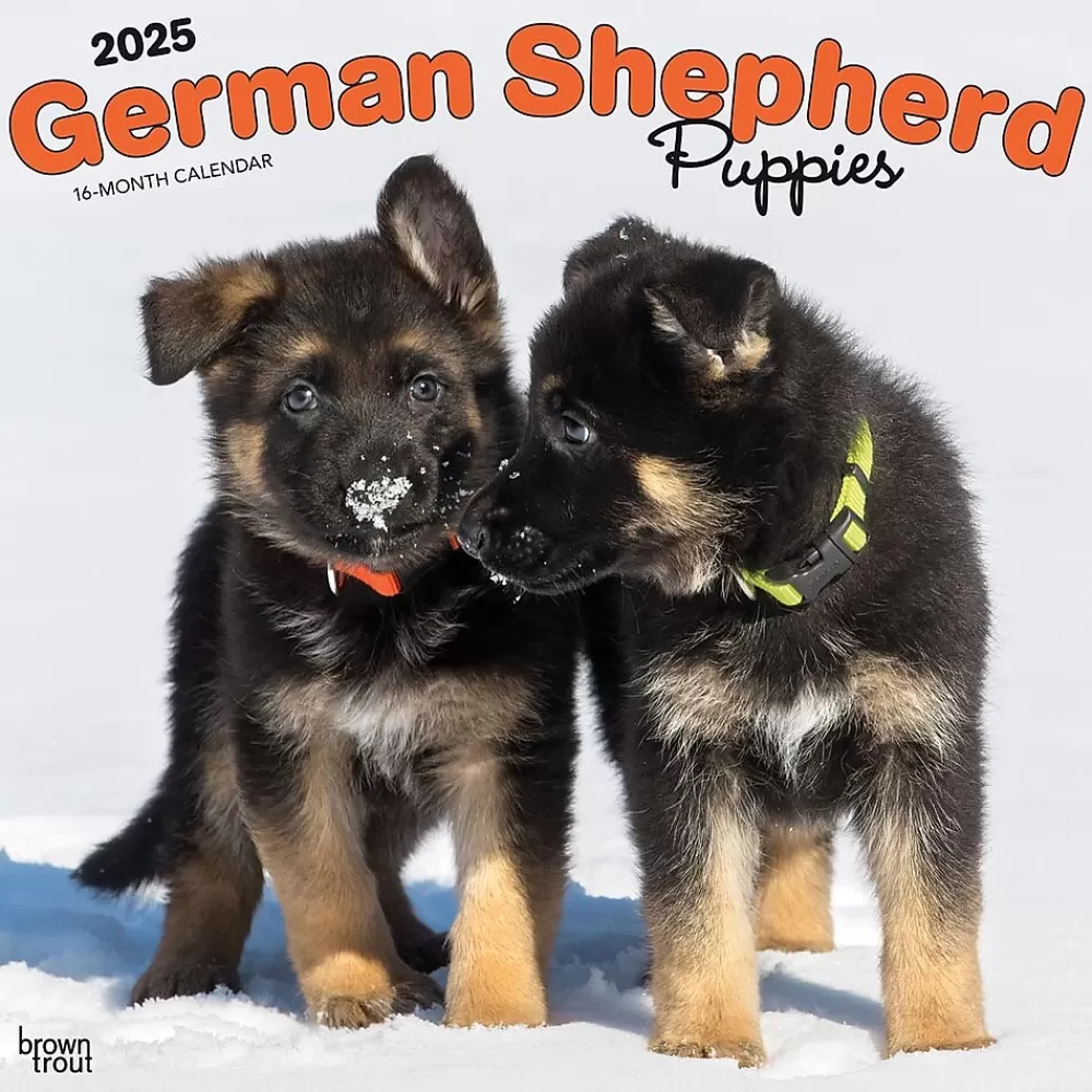 BrownTrout 2025 Calendars<2025 German Shepherd Puppies 12" x 12" Monthly Square Wall Calendar (9781975477004)