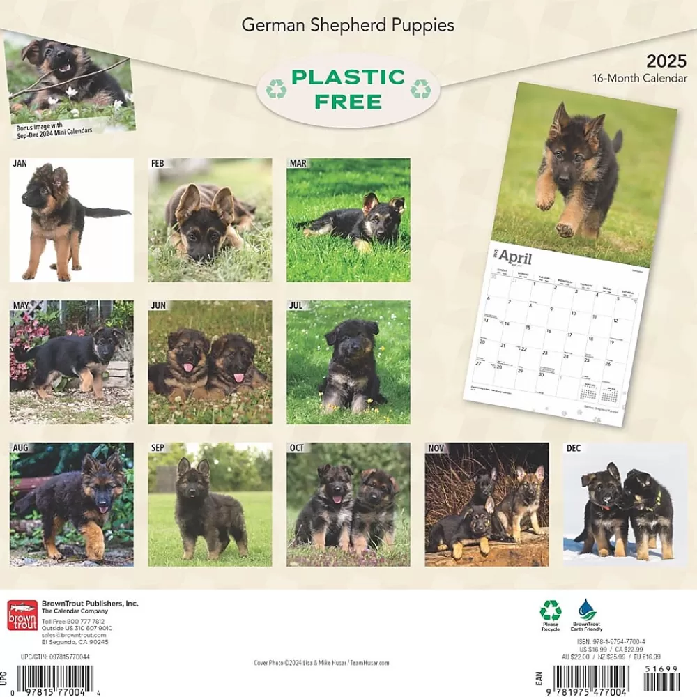 BrownTrout 2025 Calendars<2025 German Shepherd Puppies 12" x 12" Monthly Square Wall Calendar (9781975477004)