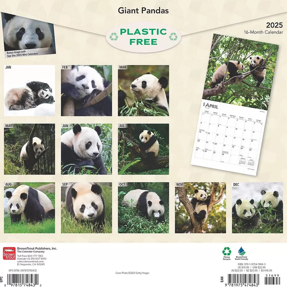 BrownTrout 2025 Calendars<2025 Giant Pandas 12" x 12" Monthly Wall Calendar (9781975474843)