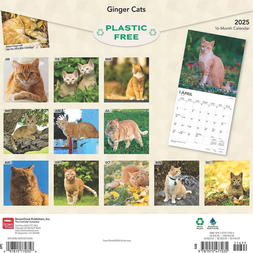 BrownTrout 2025 Calendars<2025 Ginger Cats 12" x 12" Monthly Wall Calendar (9781975477035)