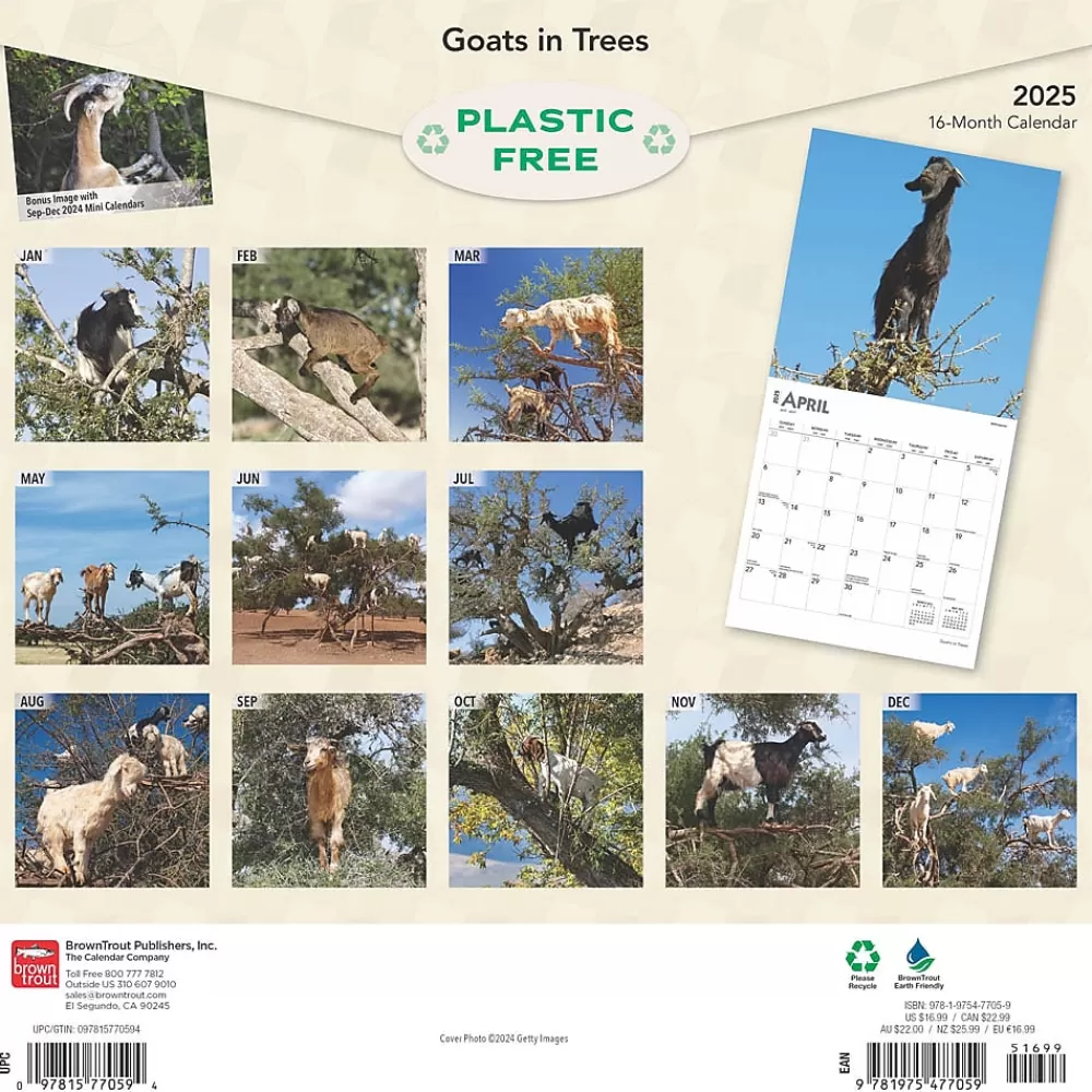 BrownTrout 2025 Calendars<2025 Goats in Trees 12" x 12" Monthly Square Wall Calendar (9781975477059)