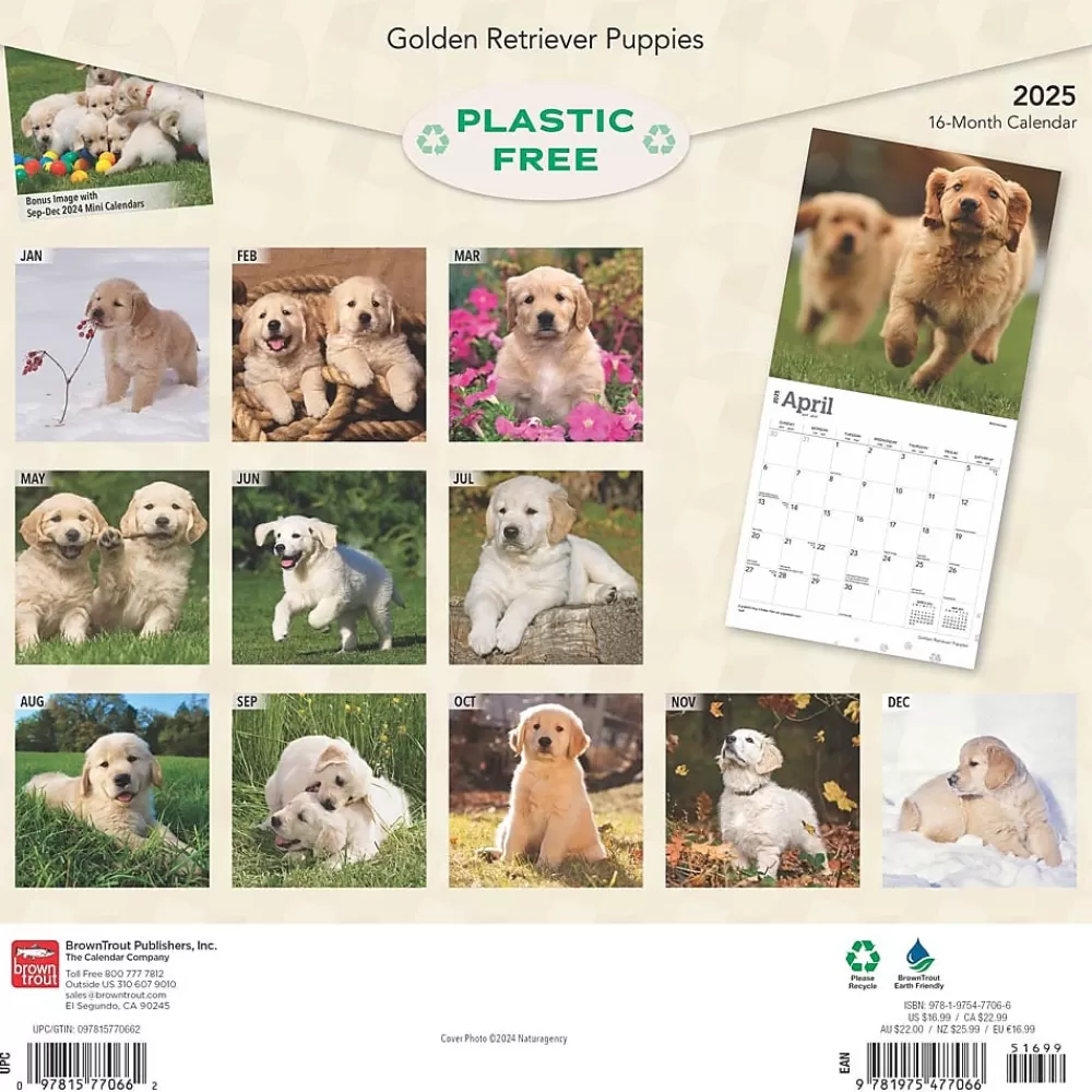 BrownTrout 2025 Calendars<2025 Golden Retriever Puppies 12" x 12" Monthly Square Wall Calendar (9781975477066)