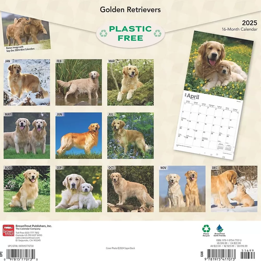 BrownTrout 2025 Calendars<2025 Golden Retrievers 12" x 12" Monthly Square Wall Calendar (9781975477073)