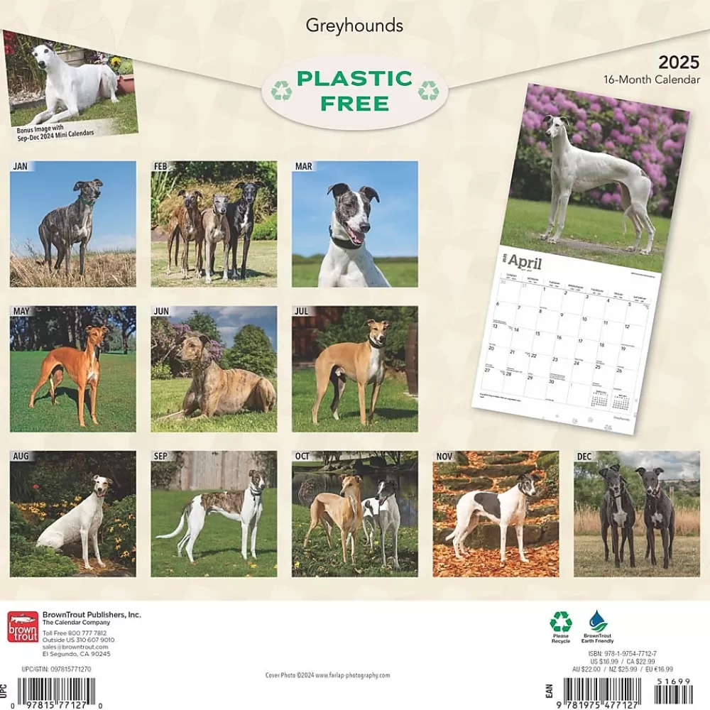 BrownTrout 2025 Calendars<2025 Greyhounds 12" x 12" Monthly Wall Calendar (9781975477127)