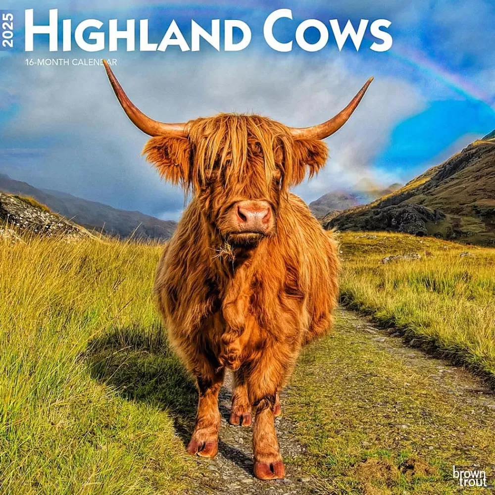 BrownTrout 2025 Calendars<2025 Highland Cows 12" x 12" Monthly Square Wall Calendar (9781975478377)