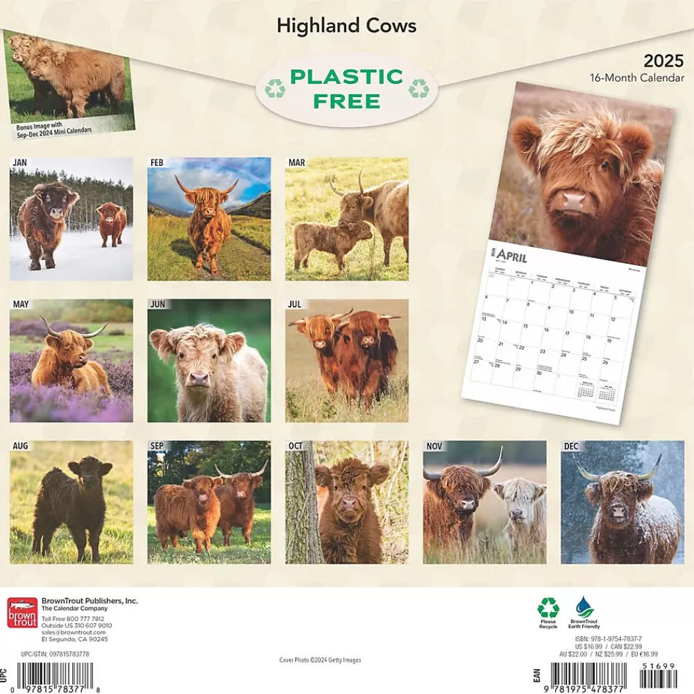 BrownTrout 2025 Calendars<2025 Highland Cows 12" x 12" Monthly Square Wall Calendar (9781975478377)