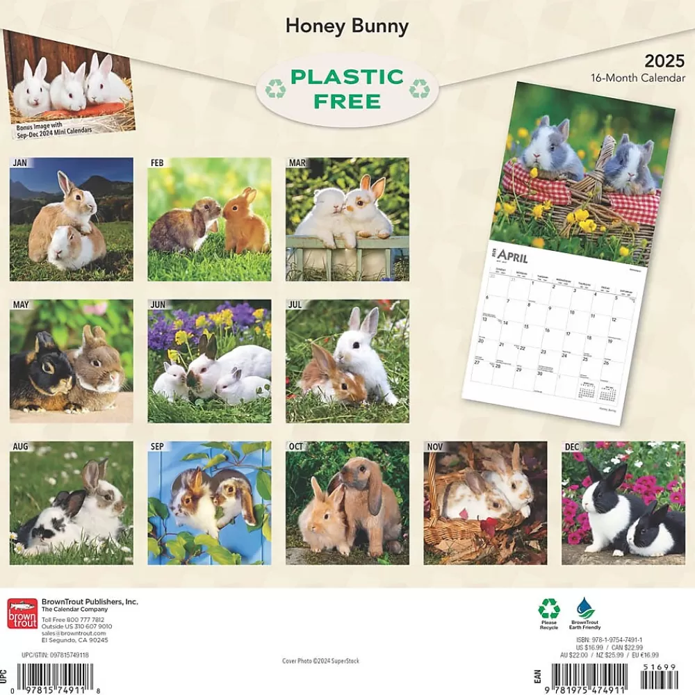 BrownTrout 2025 Calendars<2025 Honey Bunny 12" x 12" Monthly Wall Calendar (9781975474911)