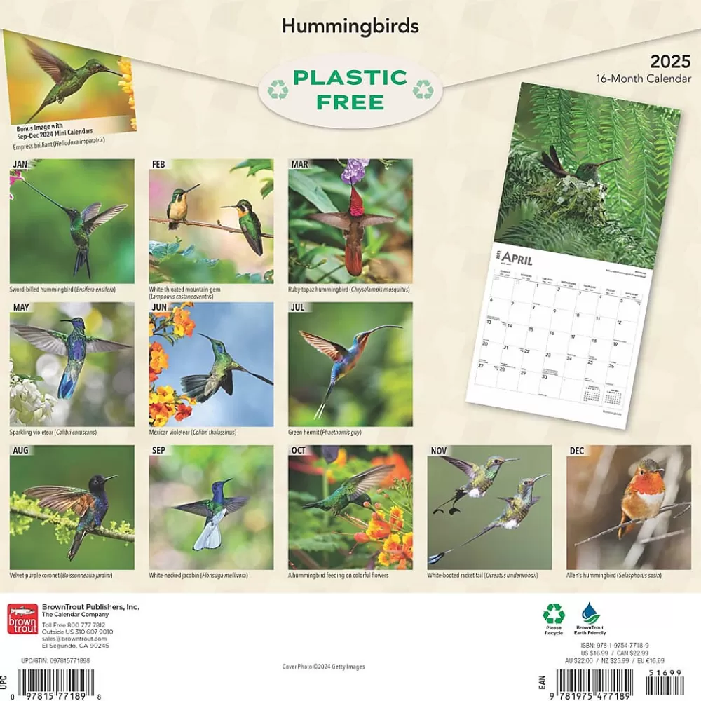 BrownTrout 2025 Calendars<2025 Hummingbirds 12" x 12" Monthly Wall Calendar (9781975477189)