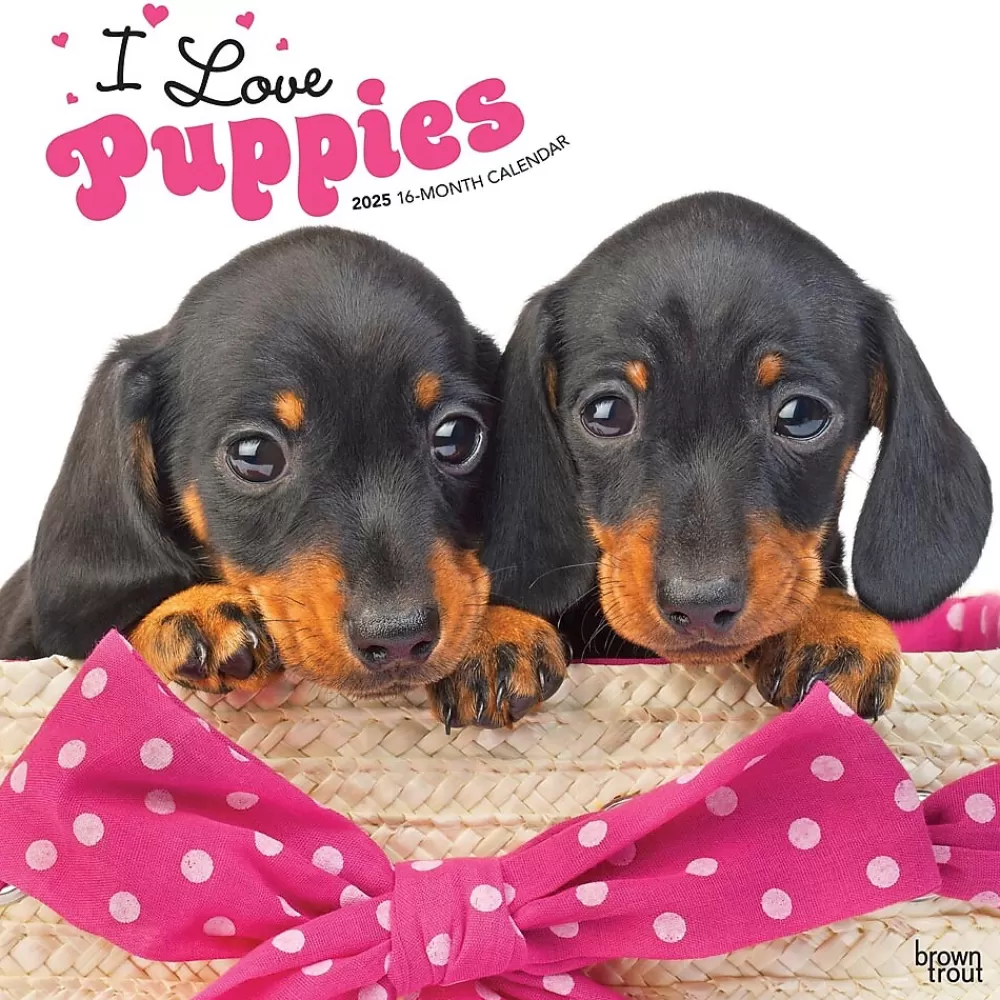 BrownTrout 2025 Calendars<2025 I Love Puppies 12" x 12" Monthly Wall Calendar (9781975477592)