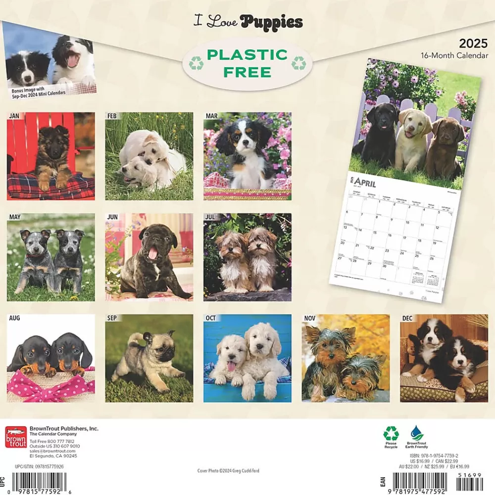 BrownTrout 2025 Calendars<2025 I Love Puppies 12" x 12" Monthly Wall Calendar (9781975477592)