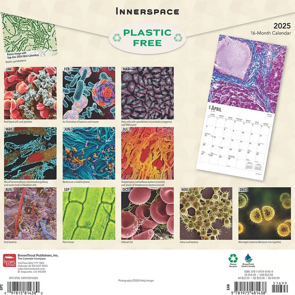 BrownTrout 2025 Calendars<2025 Innerspace 12" x 12" Monthly Square Wall Calendar (9781975481438)