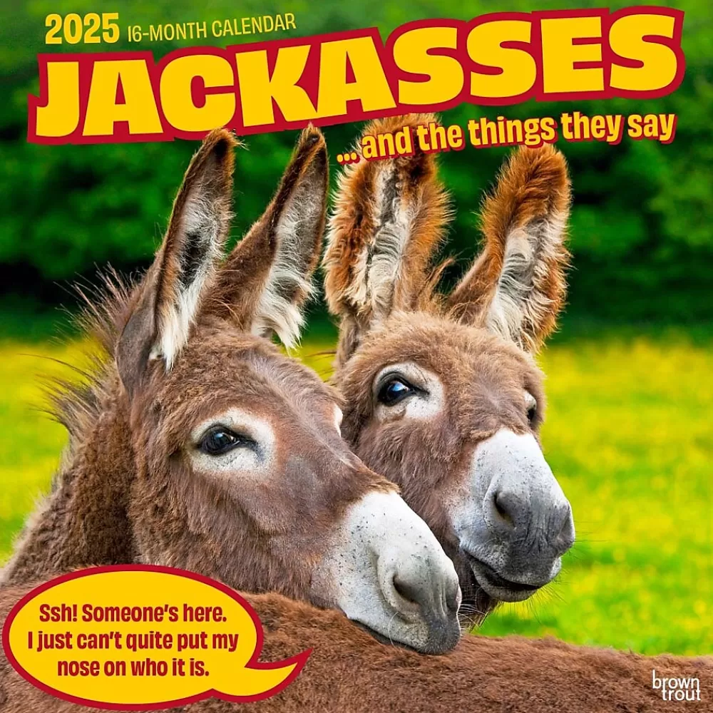 BrownTrout 2025 Calendars<2025 Jackasses 12" x 12" Monthly Wall Calendar (9781975477240)