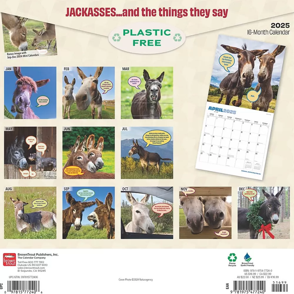 BrownTrout 2025 Calendars<2025 Jackasses 12" x 12" Monthly Wall Calendar (9781975477240)