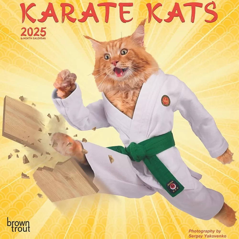 BrownTrout 2025 Calendars<2025 Karate Cats 7" x 14" Monthly Mini Wall Calendar, (9781975479541)