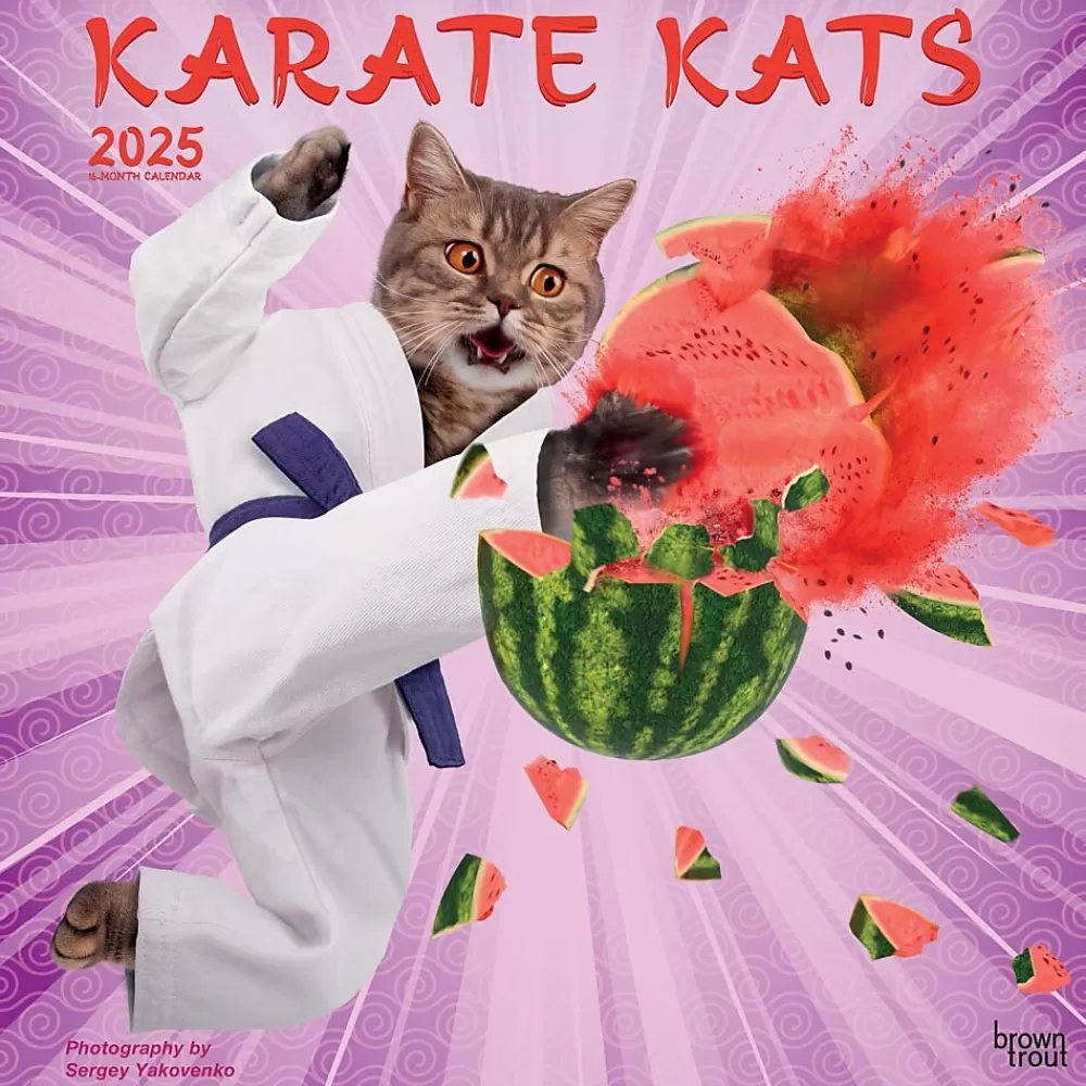 BrownTrout 2025 Calendars<2025 Karate Cats 12" x 24" Monthly Square Wall Calendar, (9781975479831)