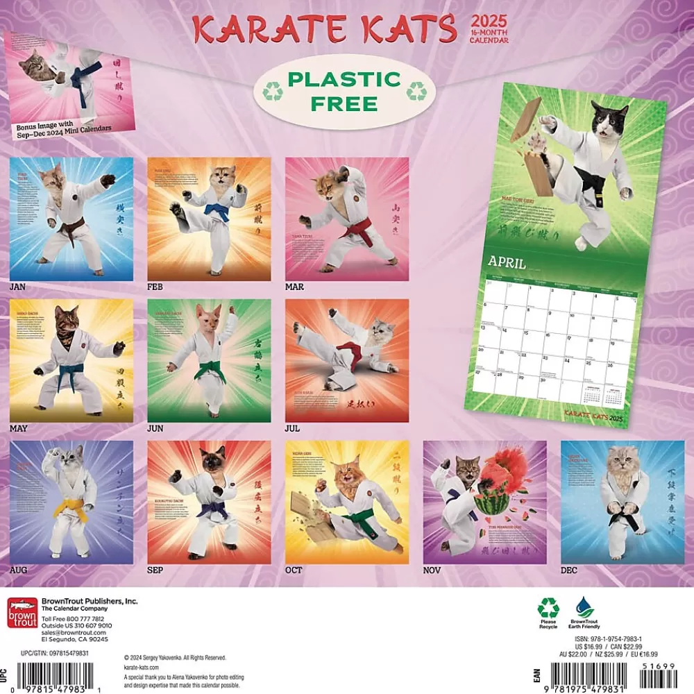 BrownTrout 2025 Calendars<2025 Karate Cats 12" x 24" Monthly Square Wall Calendar, (9781975479831)