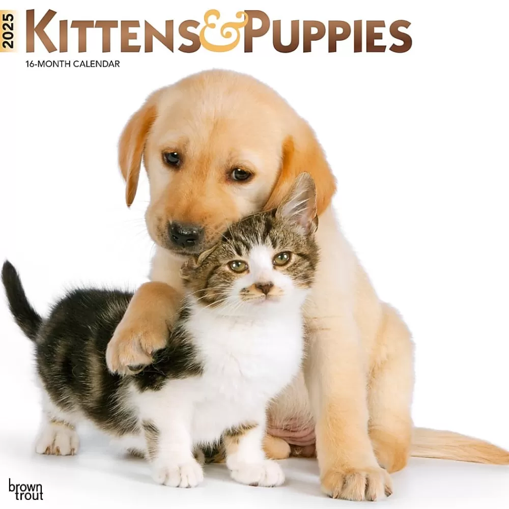 BrownTrout 2025 Calendars<2025 Kittens & Puppies 12" x 12" Monthly Wall Calendar (9781975477271)