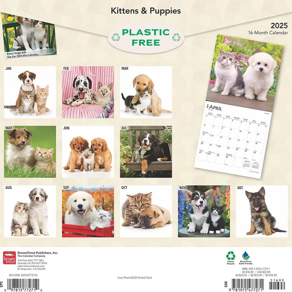 BrownTrout 2025 Calendars<2025 Kittens & Puppies 12" x 12" Monthly Wall Calendar (9781975477271)