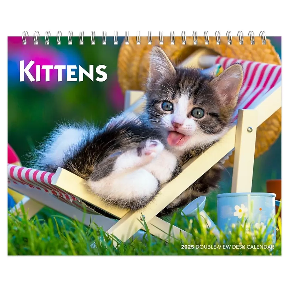 BrownTrout 2025 Calendars<2025 Kittens 7.5" x 6" Monthly Desk Calendar (9781975481629)