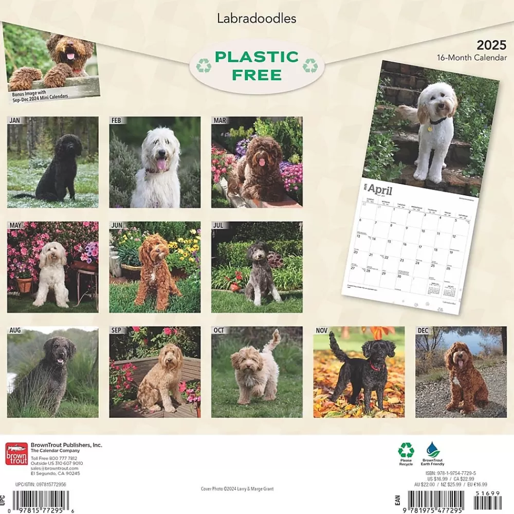 BrownTrout 2025 Calendars<2025 Labradoodles 12" x 24" Monthly Square Wall Calendar, (9781975477295)