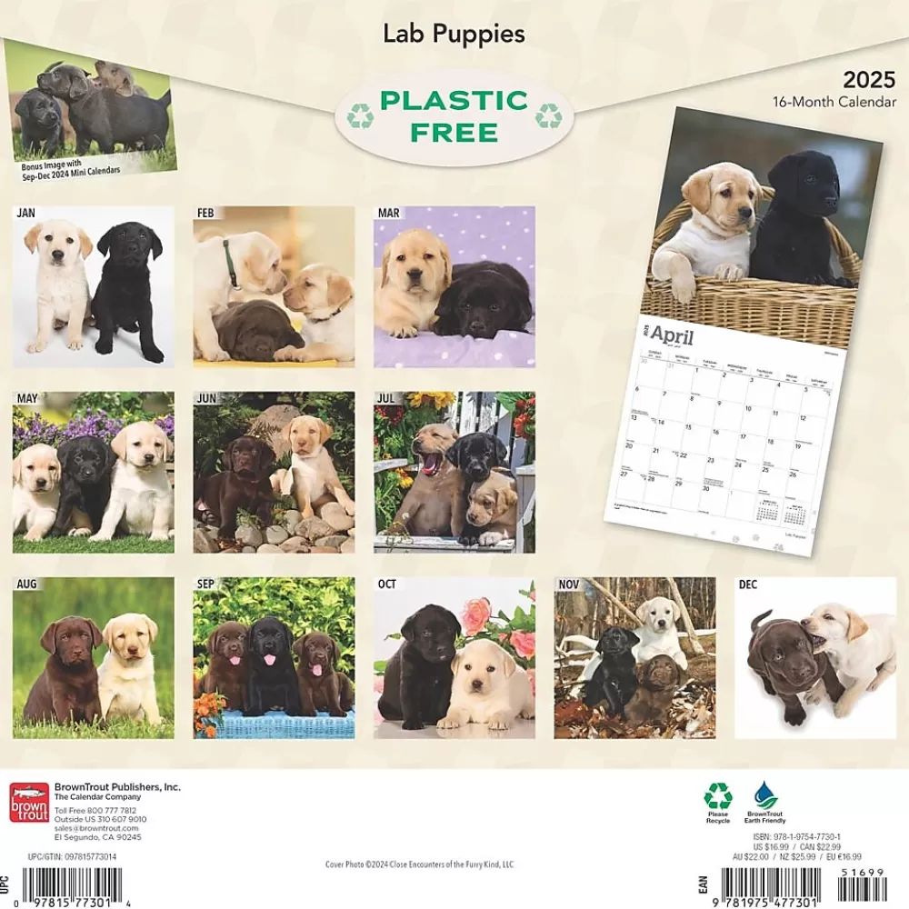 BrownTrout 2025 Calendars<2025 Labrador Retriever Puppies 12" x 12" Monthly Wall Calendar (9781975477301)