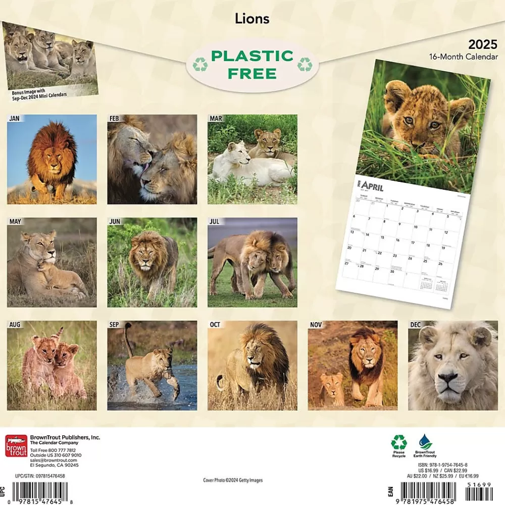 BrownTrout 2025 Calendars<2025 Lions 12" x 12" Monthly Wall Calendar (9781975476458)