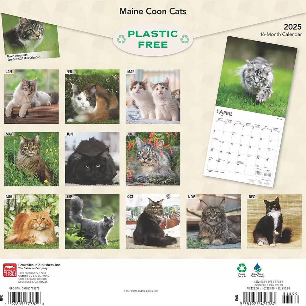 BrownTrout 2025 Calendars<2025 Maine Coon Cats 12" x 24" Monthly Square Wall Calendar, (9781975477387)