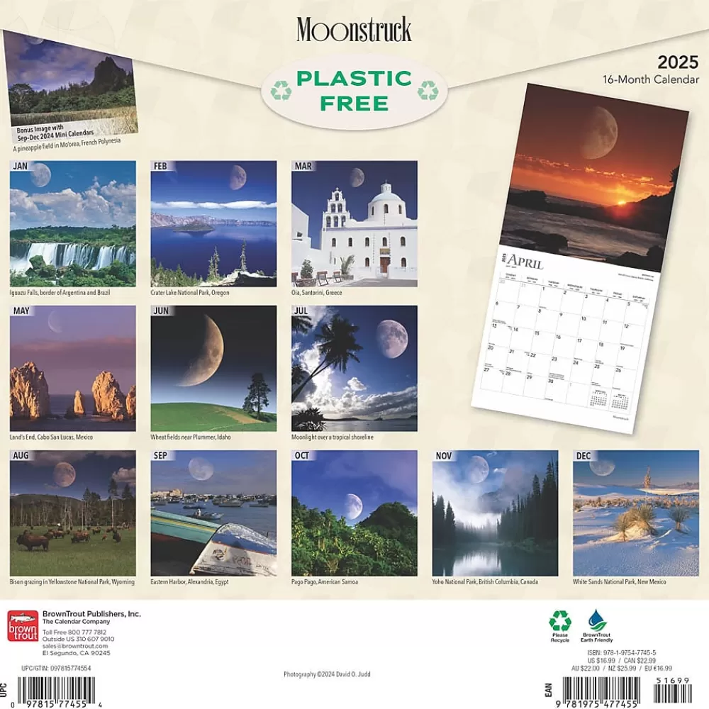 BrownTrout 2025 Calendars<2025 Moonstruck 12" x 24" Monthly Square Wall Calendar (9781975477455)