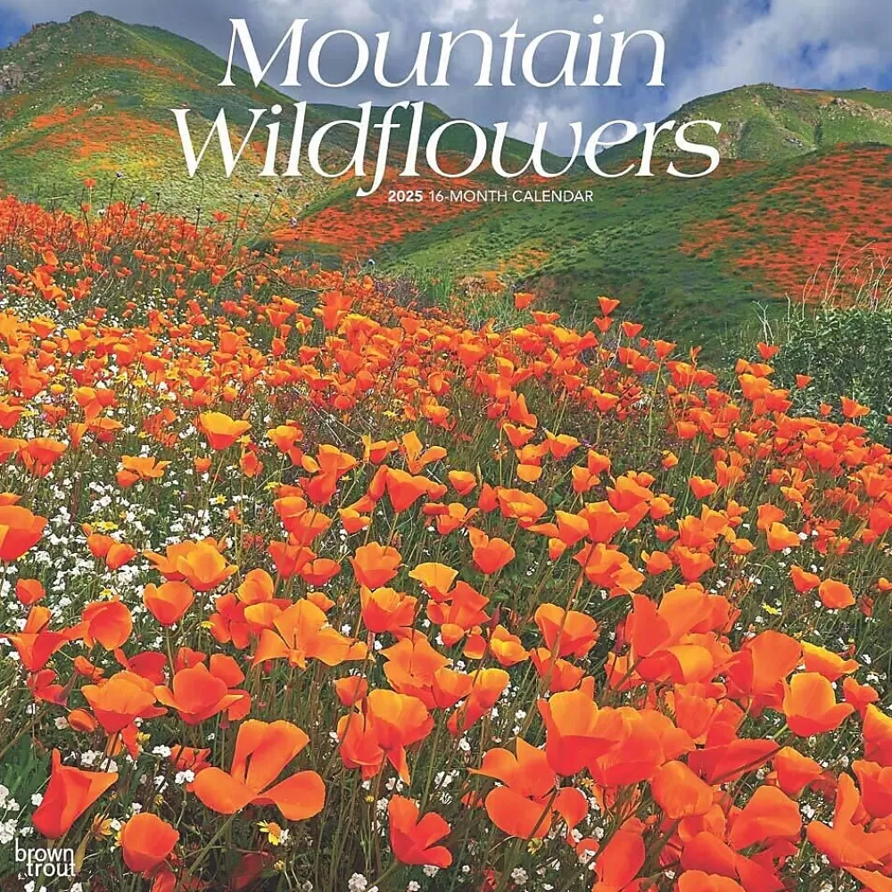 BrownTrout 2025 Calendars<2025 Mountain Wildflowers 12" x 12" Monthly Square Wall Calendar (9781975476038)