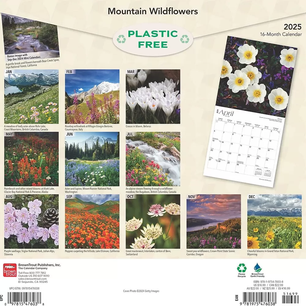 BrownTrout 2025 Calendars<2025 Mountain Wildflowers 12" x 12" Monthly Square Wall Calendar (9781975476038)