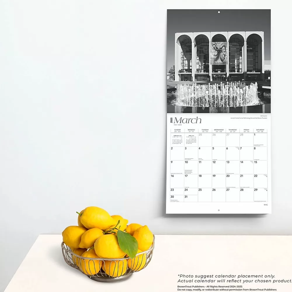 BrownTrout 2025 Calendars<2025 New York City Black & White 12" x 12" Monthly Square Wall Calendar (9781975475420)