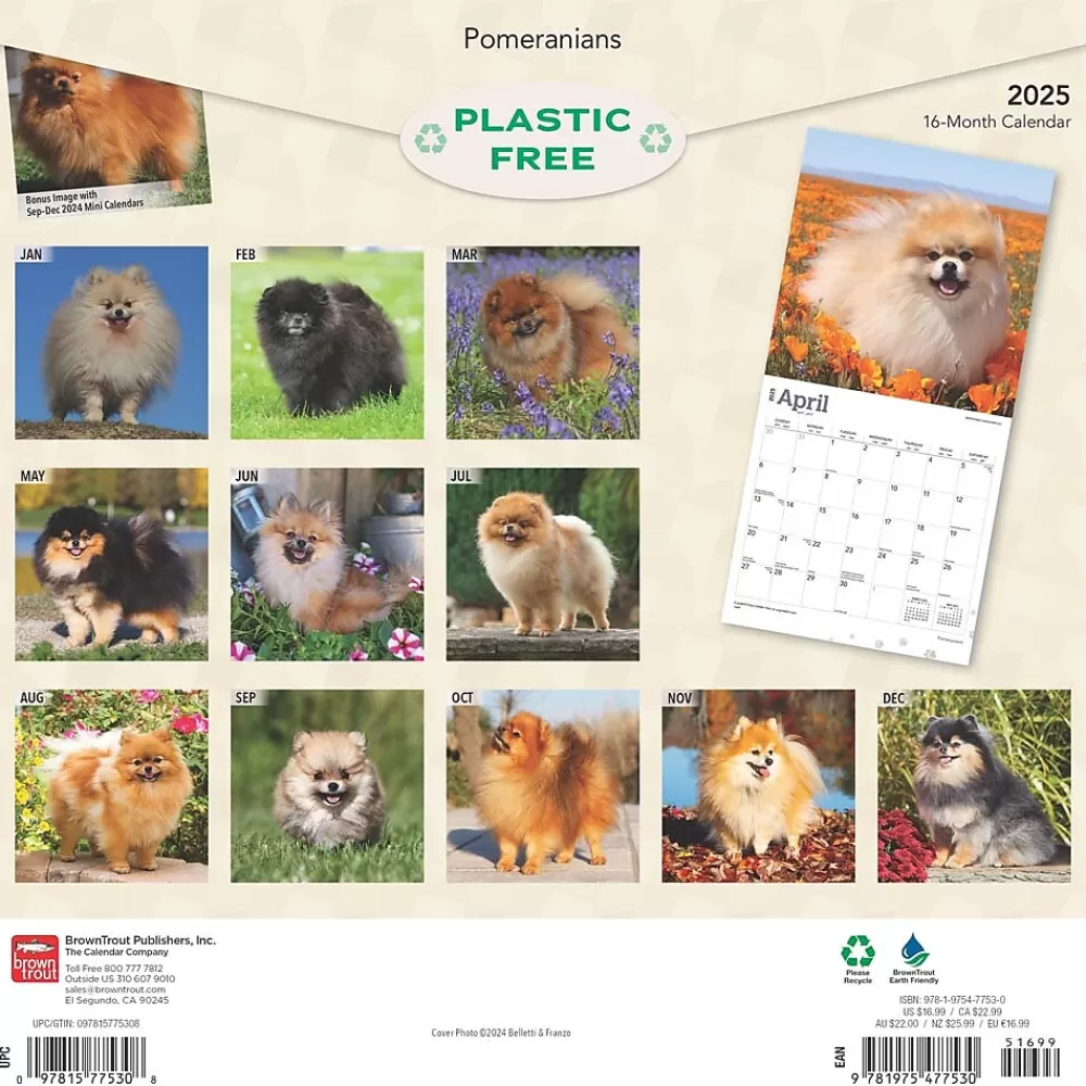 BrownTrout 2025 Calendars<2025 Pomeranians 12" x 12" Monthly Wall Calendar (9781975477530)