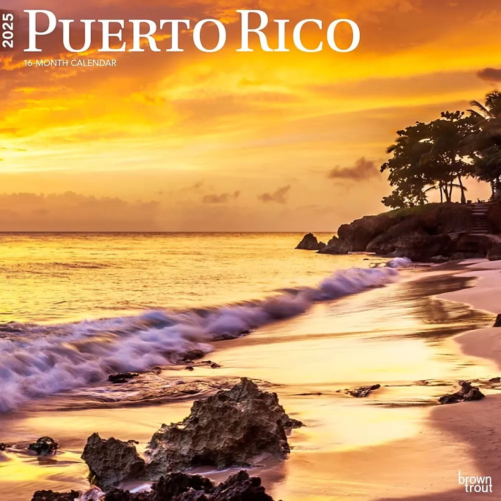 BrownTrout 2025 Calendars<2025 Puerto Rico 12" x 12" Monthly Wall Calendar (9781975475581)