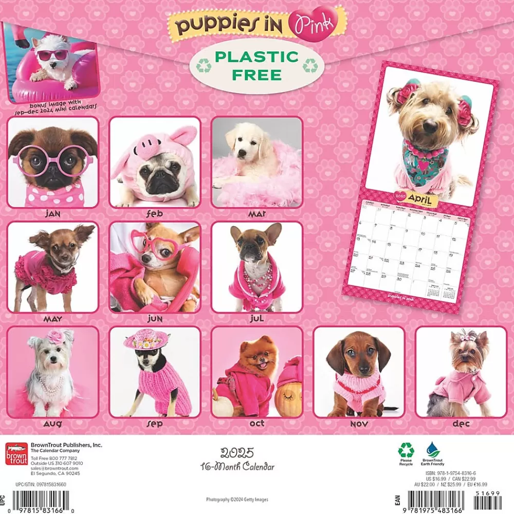 BrownTrout 2025 Calendars<2025 Puppies in Pink 12" x 12" Monthly Wall Calendar (9781975483166)