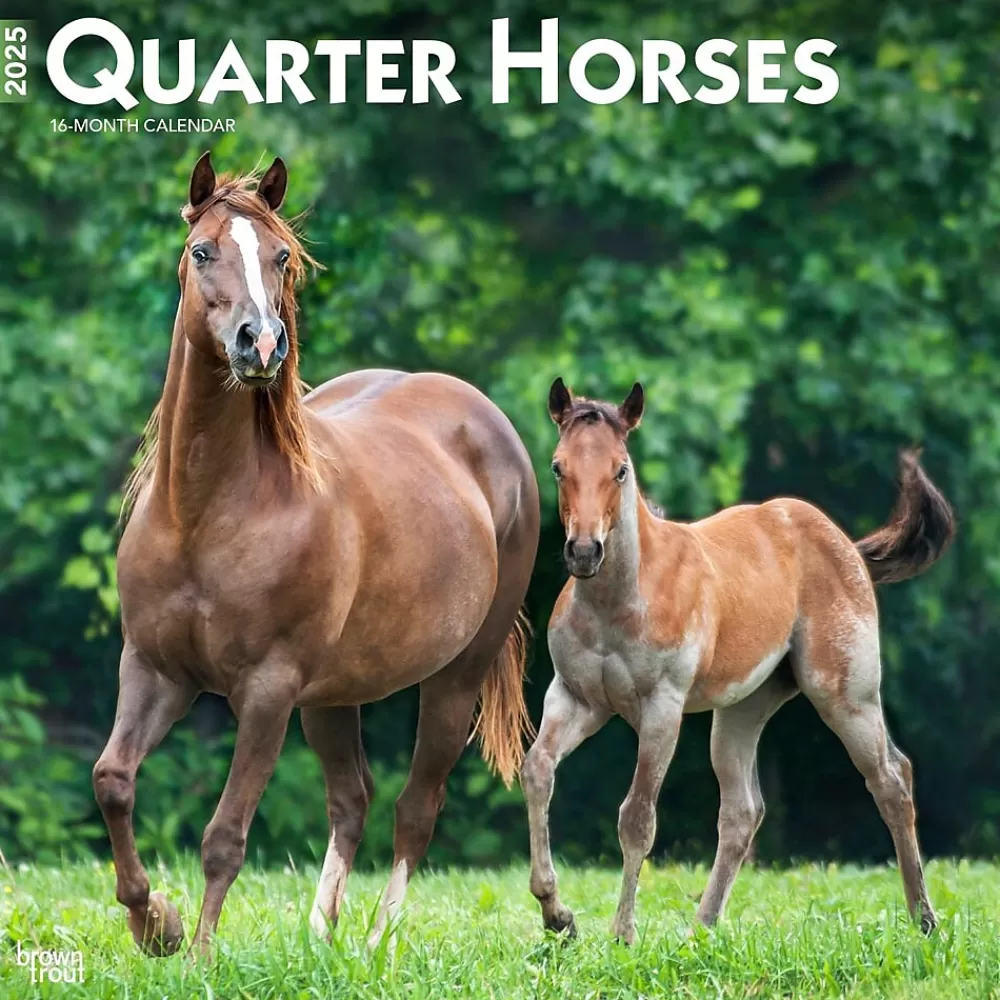 BrownTrout 2025 Calendars<2025 Quarter Horses 12" x 12" Monthly Wall Calendar (9781975477608)