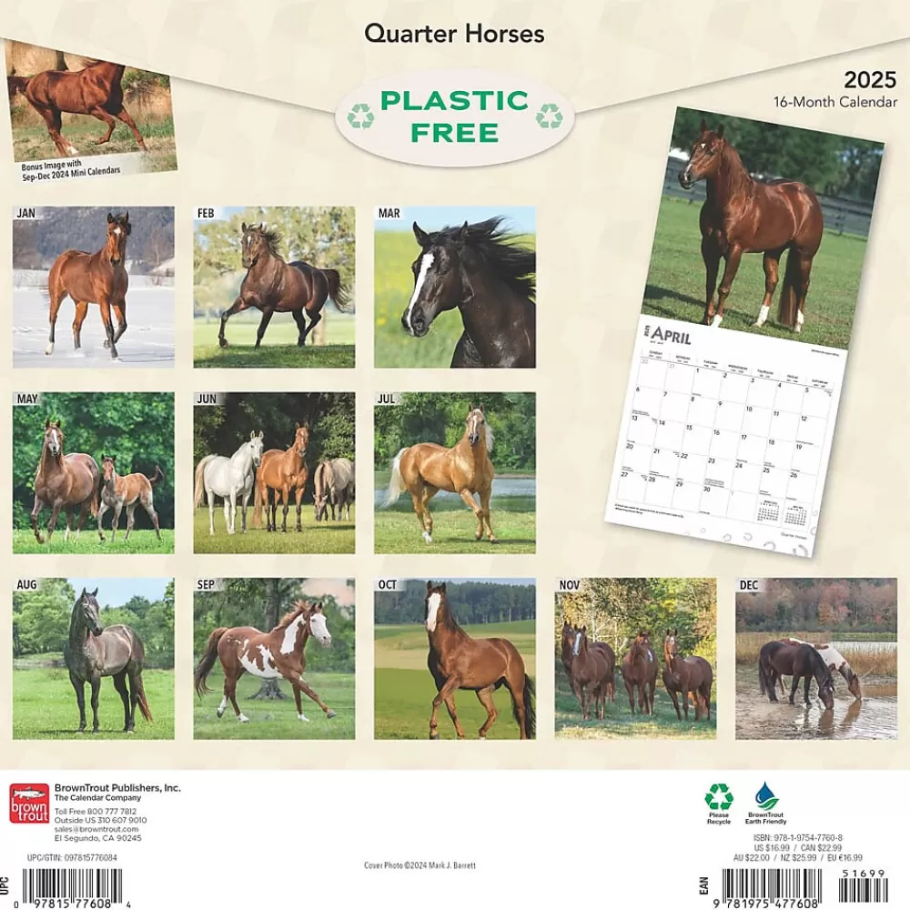 BrownTrout 2025 Calendars<2025 Quarter Horses 12" x 12" Monthly Wall Calendar (9781975477608)