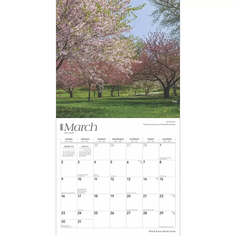 BrownTrout 2025 Calendars<2025 Rhode Island Wild & Scenic 12" x 24" Monthly Square Wall Calendar, (9781975475611)