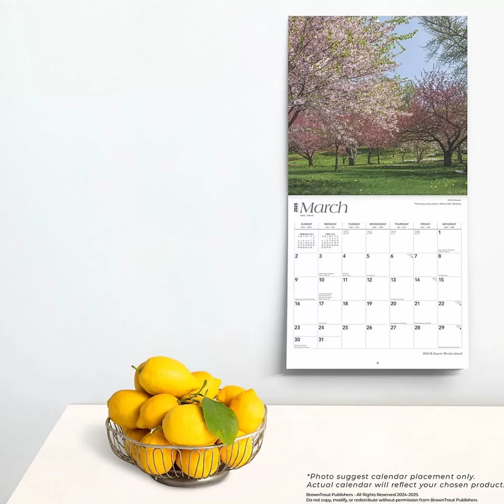 BrownTrout 2025 Calendars<2025 Rhode Island Wild & Scenic 12" x 24" Monthly Square Wall Calendar, (9781975475611)