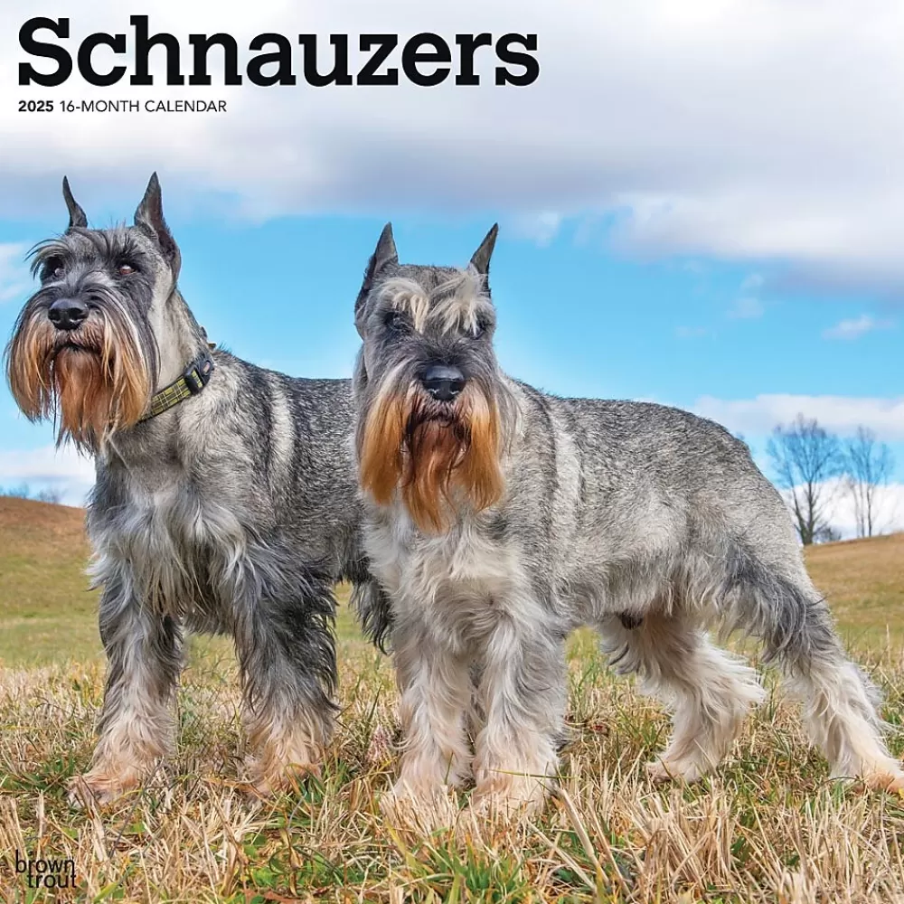 BrownTrout 2025 Calendars<2025 Schnauzers 12" x 24" Monthly Square Wall Calendar (9781975477677)